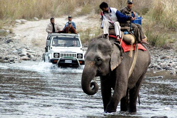 Wildlife Experiences in India
